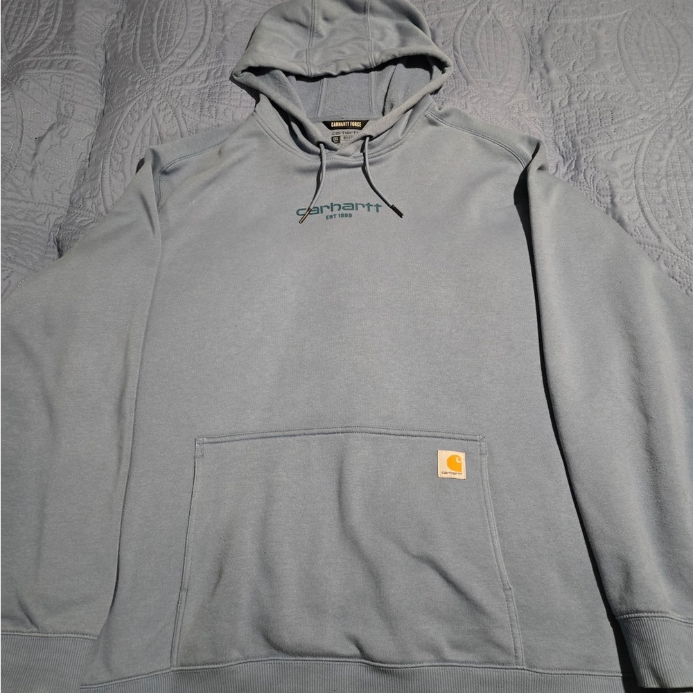 Carhartt Men's Relaxed Fit Force Hoodie Sweatshirt